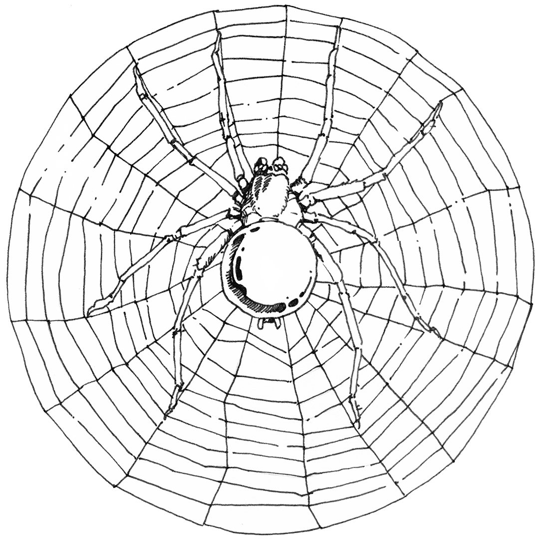 inktober2019-08-frail-00
